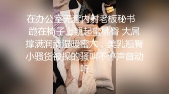 秀人网 雨儿酱气质大美女 极品无内肉丝 透点 漏点！下部