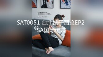 SAT0051 台北婊子图鉴EP2 SA国际传媒