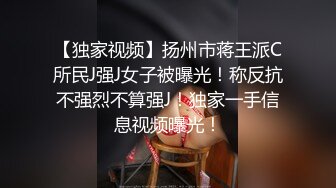 《黑卡别墅-瑶贝 女仆庄园 稚嫩女仆遭会员调教》