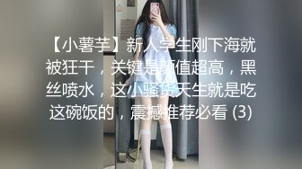 淫荡对白销魂呻吟，推特约炮大咖【夏次健】自传，调教爆肏巨乳肥臀小母狗，无套暴力输出肏到尖叫喊爸爸 (11)