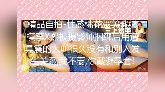 THE 未公开 〜敏感マゾ乳のすごいパイズリ〜