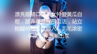 【初音美玲】，重金邀请知名女优，粉丝圆梦之夜，22岁极品美女，搔首弄姿配合听话