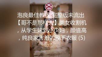 记录小母狗