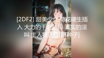 维拉董大美超清