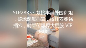 几年前的极品女友2