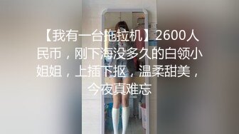 南宁小母狗叫声可爱