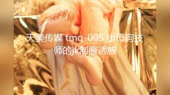 天美传媒 tmq-005 小母狗技师的jk制服诱惑