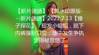 无水印源码自录--【小老师】大奶子少妇，用黄瓜插粉B，淫水直流、扣逼，合集【47V】  (27)