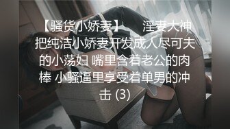 国产AV 葫芦影业 HUL019 旧上海四女子往事3