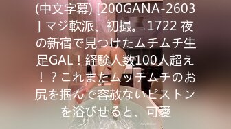 (中文字幕) [200GANA-2603] マジ軟派、初撮。 1722 夜の新宿で見つけたムチムチ生足GAL！経験人数100人超え！？これまたムッチムチのお尻を掴んで容赦ないピストンを浴びせると、可愛