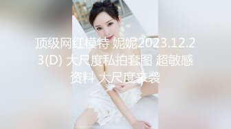 【香蕉视频】xjx-0102 清纯小姨子穿情趣内衣勾引姐夫-果冻姐姐