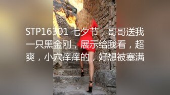 STP16301 七夕节，哥哥送我一只黑金刚，展示给我看，超爽，小穴痒痒的，好想被塞满