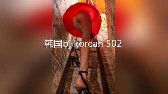 韩国bj korean 502