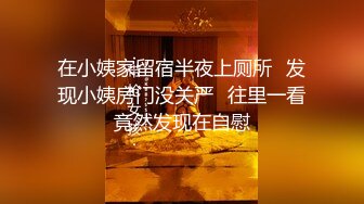 onlyfans淫妻绿帽【swingdog】 约单男3p啪啪 无套输出最新合集【496V】 (134)