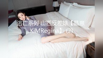 逃亡系列 山西反差婊【晶崽 KiMRegina】 (2)