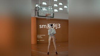 sm系列3