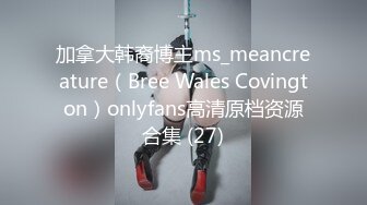 加拿大韩裔博主ms_meancreature（Bree Wales Covington）onlyfans高清原档资源合集 (27)