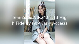 TeamSkeetVIP.24.01.13 High Fidelity (VIP Early Access)